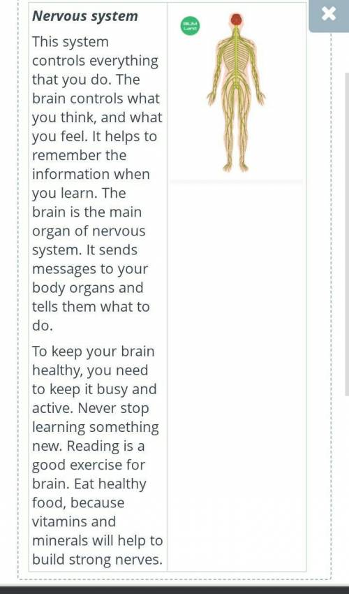 How does your body work? Read the text about our nervous system.Decide if the sentences are True or 