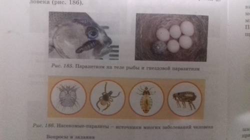 1.Рассмотрите рисунки и проведите другие примеры нейтрализма,конкуренции,симбиоза,хищничества,парази