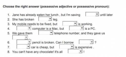 Choose the right answer (possessive adjective or possessive pronoun): 1. Jane has already eaten her 