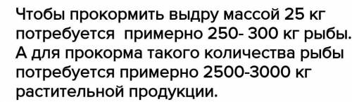 Составить пищевую цепь,построить пищевую пирамиду для выдры массой 25 кг.Определить массу водорослей