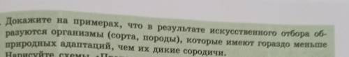 2. Докажите на примерах, что в результате искусственного отбора об- разуются организмы (сорта, пород