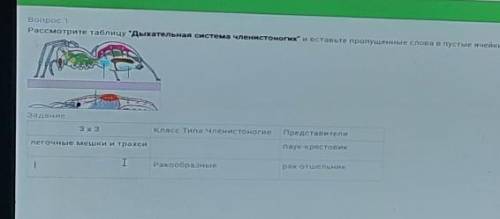 Рассмотрите таблицу Дыхательная система членистоногих и вставьте пропущенные слова вп Задание3х3Кла