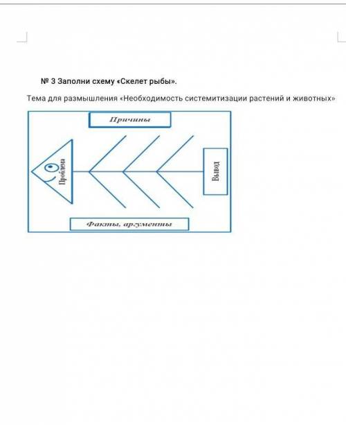 № 3 Заполни схему «Скелет рыбы>>. для размышления необходимость системитизации растений и живо