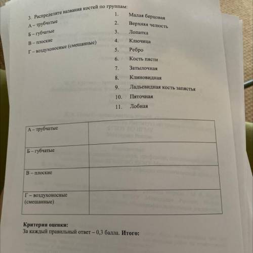 3. Распределите названия костей по группам: А- трубчатые 1. Малая берцовая Б - губчатые 2. Верхняя ч