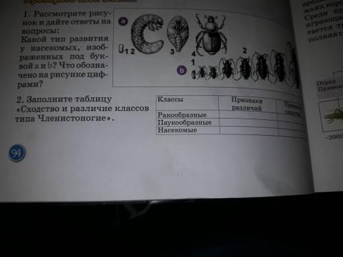 выполнить по биологии дз  Проверьте свои знания-2)