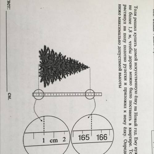 ￼￼￼толя решил купить домой искусственную ёлку на новый год ￼￼ему нужна была ￼￼￼￼￼￼￼￼￼￼￼￼￼￼не более 1