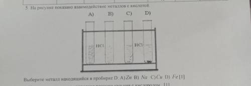 5. На рисунке показано взаимодействие металлов с кислотой.Выберите металл находящийся в пробирке D. 