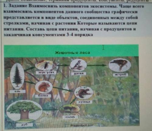 10б Задание Взаимосвязь компонентов экосистемы. Чаще всего взаимосвязь компонентов данного сообществ