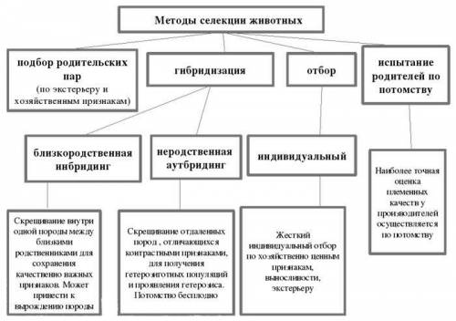 Методы селекции растений и животных схема​