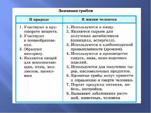 Значення мікроскопічних грибів в природі та житті людини