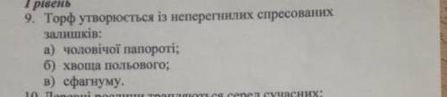 Торф утворюється із неперегнилих спресованих залишків​