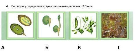 если не трудно Заранее благодарю!​