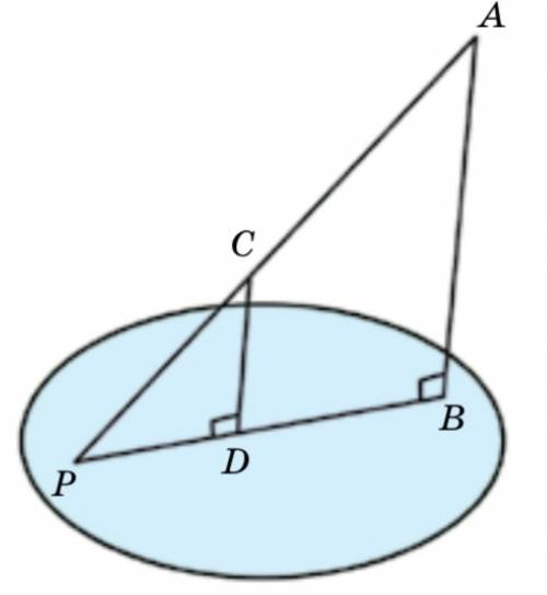 Прямые AB и CD перпендикулярны плоскости α и B,D ∈α. AC⊂α = P. Найдите CD, если AB=12см, BD=PD=3см.