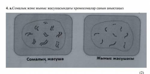 Сомалык жане жыныс жасушасындагы хромосомалар санын аныктаныз ​