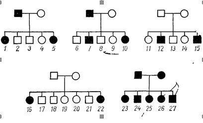 В следующих пяти семейных родословных человека показано наследование определять вкус фенилтиомочевин
