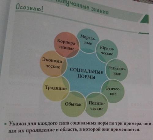 , Укажите для каждого типа социальных норм по три примера , опиши их проявление и область , в которо