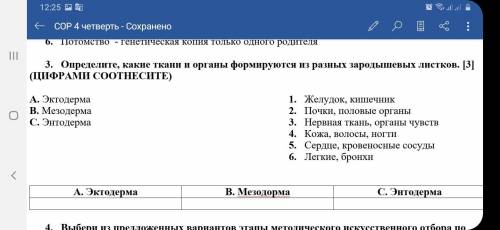 Определите, какие ткани и органы формируются из разных зародышевых листков. (ЦИФРАМИ СООТНЕСИТЕ)