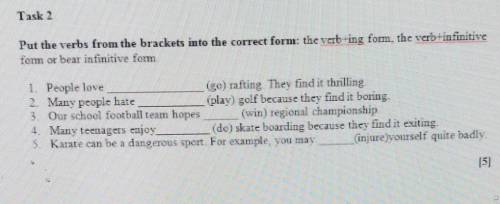 Put the verbs from the brackets into the correct form: the vet-ing form, the verb+infinitive fom or 