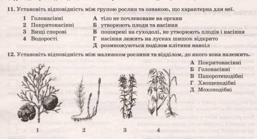 решите ето, нужно било здать поза вчера но я не успела ​