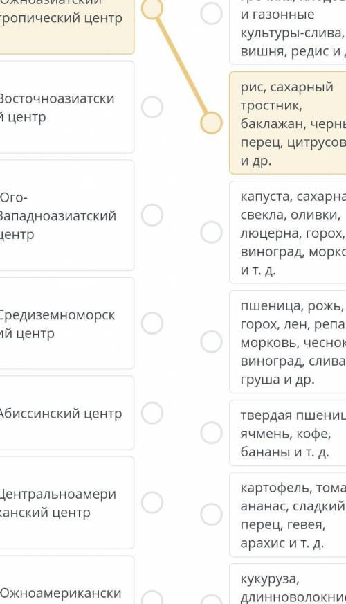 Соотнесите центры происхождения культурных растений с растениями выращеными в том же центре​