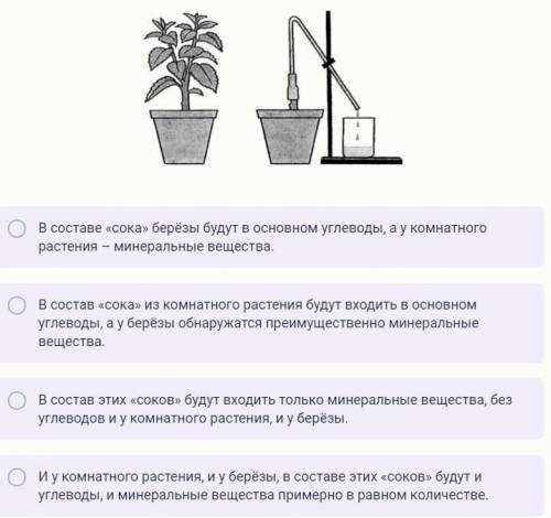 Если у комнатного растения срезать часть побега, оставив его нижнюю часть без листьев (см. рисунок),