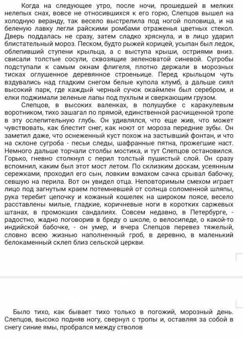 1.Прочитайте отрывок из рассказа «Рождество» В. В. Набокова. 2.Составьте его сложный план, описывая 