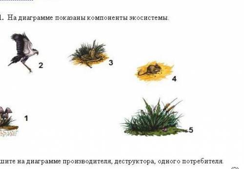 Задание 1 На диаграмме показаны компоненты экосистемы Подпешите на диаграмме производителя,деструкто