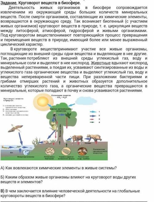 Естественнонаучная грамотность ​