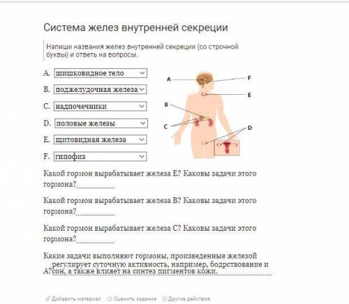 Система желез внутренней секреции.