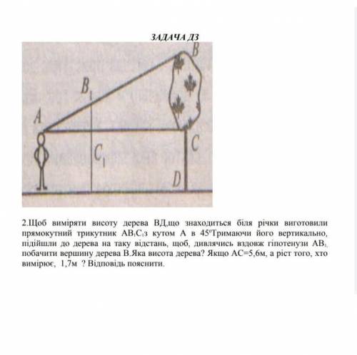 щоб виміряти висоту дерева ВД, що знаходиться біля річки виготовили трикутник АВС з кутом А в 45°, т