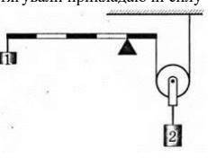 5. Знайдіть масу важеля, якщо маса першого тіла 100 г, а другого 850 г. Масою рухомого блоку знехтуй