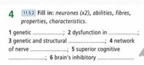 4 11.5.2 Fill in: neurones (x2), abilities, fibres, properties, characteristics. 1 genetic 2 dysfunc