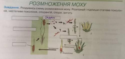 заметьте​я перепутал история и биология