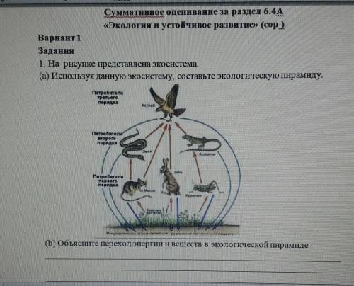 Ребят,это СОР,надеюсь на ваше понимание и быстрый ответ​