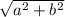 \sqrt{a ^{2} + b^{2} }