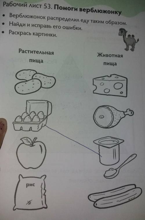 • Верблюжонок распределил еду таким образом. • Найди и исправь его ошибки. • Раскрась картинки.​