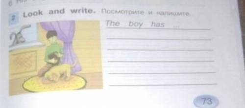 Вот фото Look and write. Посмотрите и напишите. The boy has поогите​