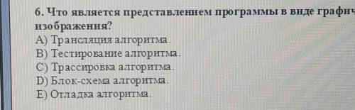 Что является предоставлением программы в виде графического изображения​