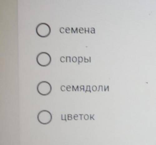 6 класс при надземном прорастание семян тыквы на поверхность почвы выносятся?​