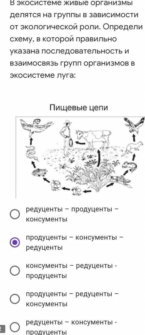 В экосистеме живые организмы делятся на группы в зависимости от экологической роли. Определи схему, 