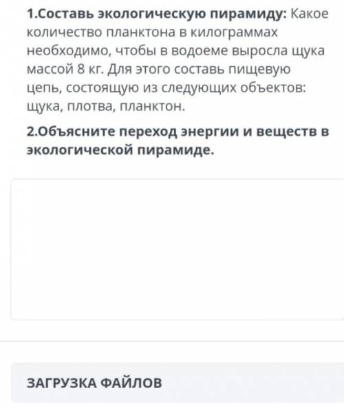 1.Составь экологическую пирамиду: Какое количество планктона в килограммах необходимо, чтобы в водое