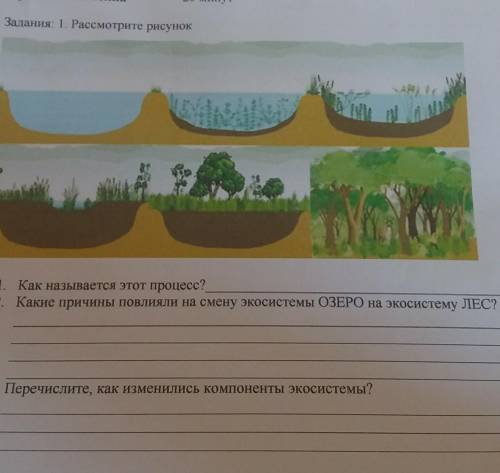 1. Как называется этот процесс? 2. Какие причины повлияли на смену экосистемы ОЗЕРО на экосистему ЛЕ