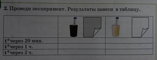 Проведи эксперимент . Результаты занеси в таблицу ​