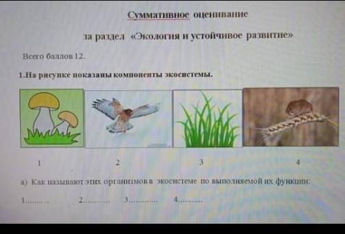 За раздел «Экология и устойчивое развитие» Всего 12.1.На рисунке показаны компоненты экосистемы.23а)