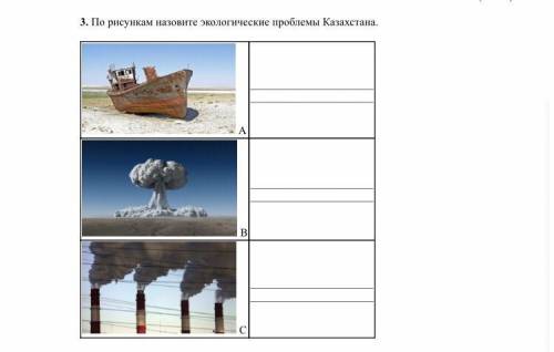 4. Распределите живые организмы по группам. ответ запишите в таблицу в виде цифр: 1. ромашка, 2. мыш