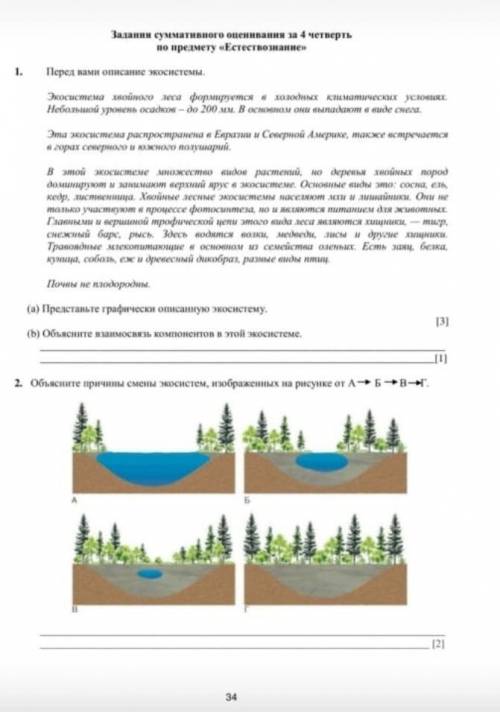 СОР по естествознанию 6 класс помагитеее​