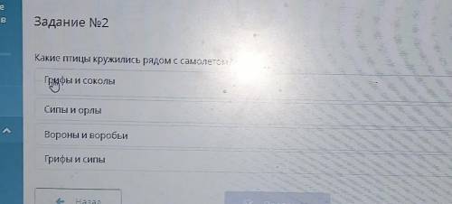 Вное оценивание пы «Путешествие», «Путешествие вЗадание No2Какие птицы кружились рядом с самолетом?2