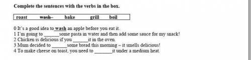 Complete the sentences with the verbs in the box​