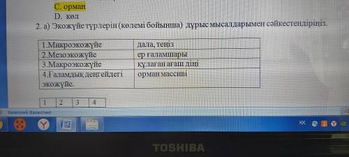 Экожүйе түрлерін (көлемі бойынша) дұрыс мысалдарымен сәйкестендіріңіз. 1.Микроэкожүйе дала, теңіз2.М