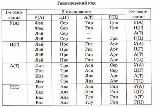 В результате мутации фрагмента ДНК, имеющего состав АТГ ЦЦА ААТ ГГА Т, произошло выпадение аденина в